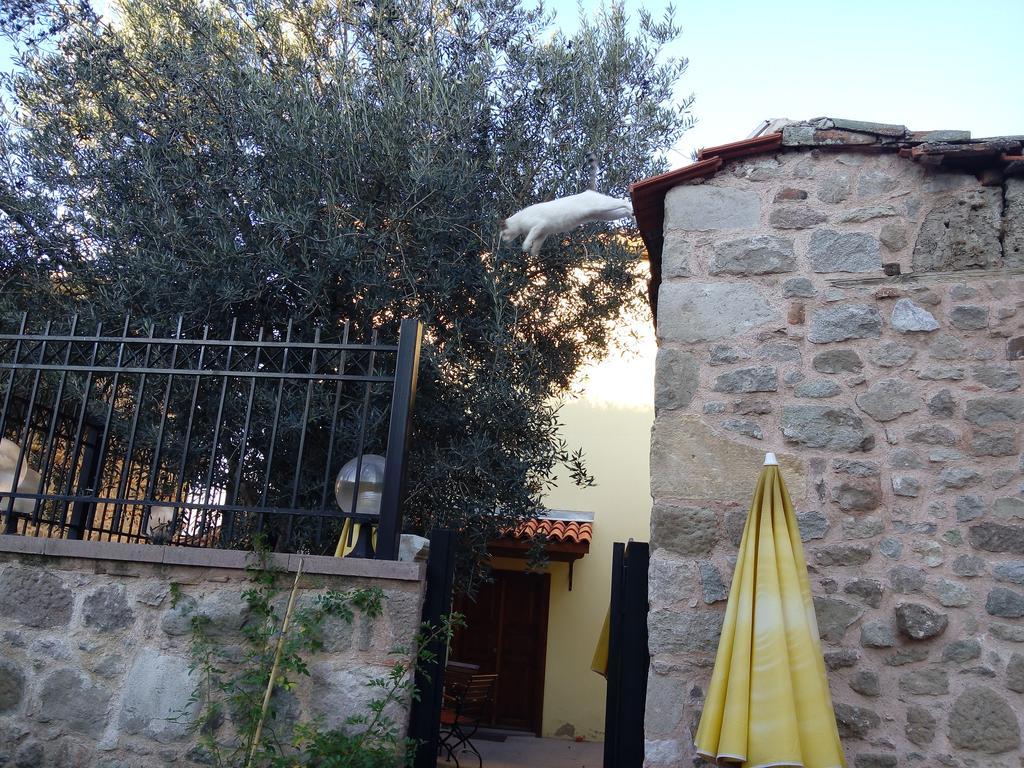 Aristonicus Boutique Hotel Bergama Exterior photo